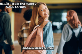Temel Lise Teşvik Başvurusu Nasıl Yapılır?