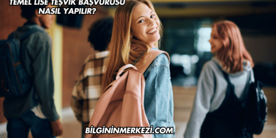 Temel Lise Teşvik Başvurusu Nasıl Yapılır?