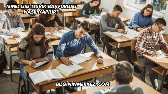 Temel Lise Teşvik Başvurusu Nasıl Yapılır?