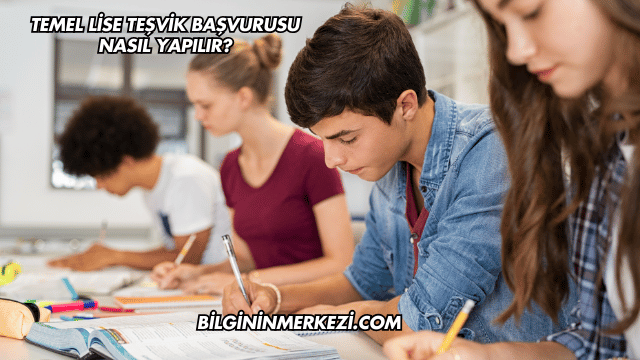 Temel Lise Teşvik Başvurusu Nasıl Yapılır?