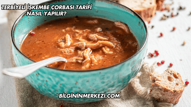Terbiyeli İşkembe Çorbası Tarifi Nasıl Yapılır?