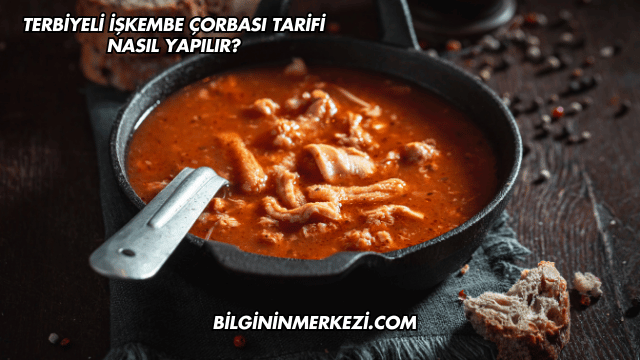 Terbiyeli İşkembe Çorbası Tarifi Nasıl Yapılır?