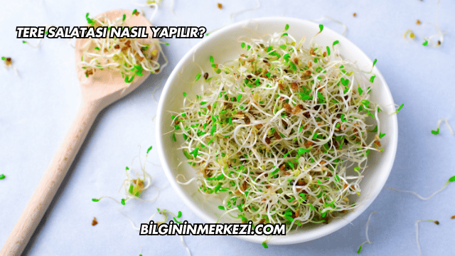 Tere Salatası Nasıl Yapılır?