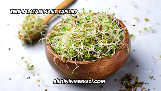 Tere Salatası Nasıl Yapılır?