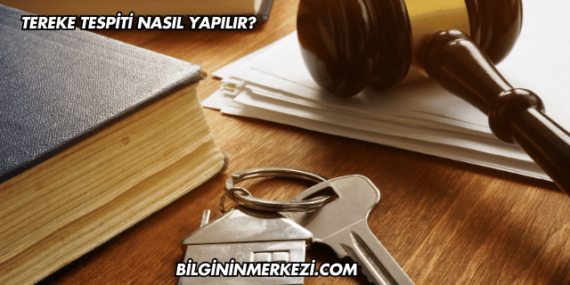 Tereke Tespiti Nasıl Yapılır?