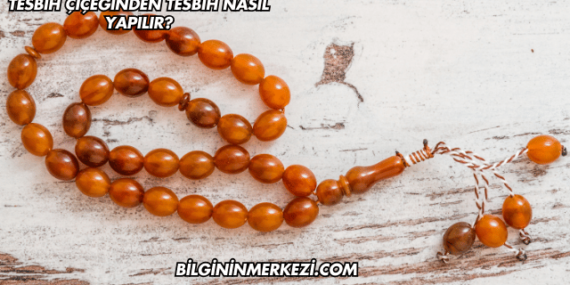 Tesbih Çiçeğinden Tesbih Nasıl Yapılır?