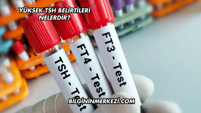 Yüksek TSH Belirtileri Nelerdir?