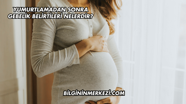 Yumurtlamadan Sonra Gebelik Belirtileri Nelerdir?