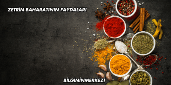 Zetrin Baharatının Faydaları