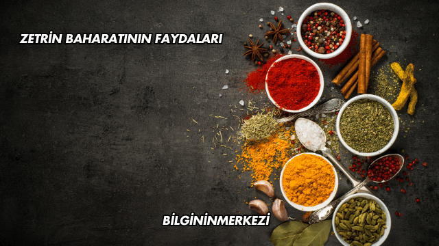 Zetrin Baharatının Faydaları