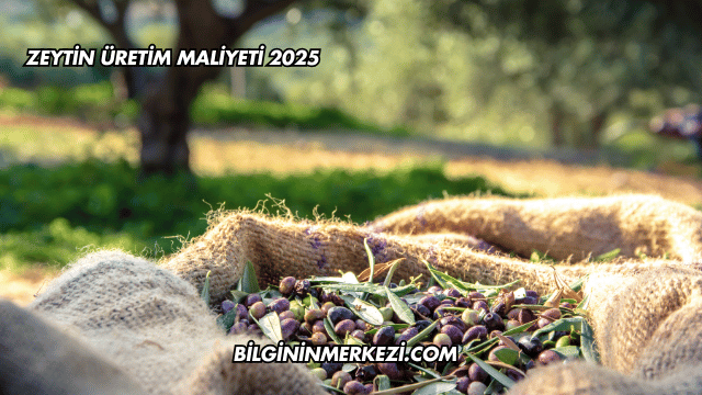 Zeytin Üretim Maliyeti 2025