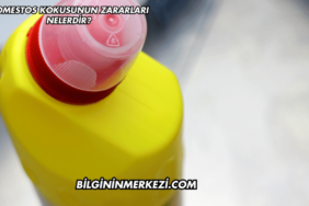 Domestos Kokusunun Zararları Nelerdir?