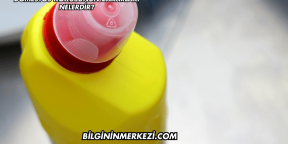 Domestos Kokusunun Zararları Nelerdir?