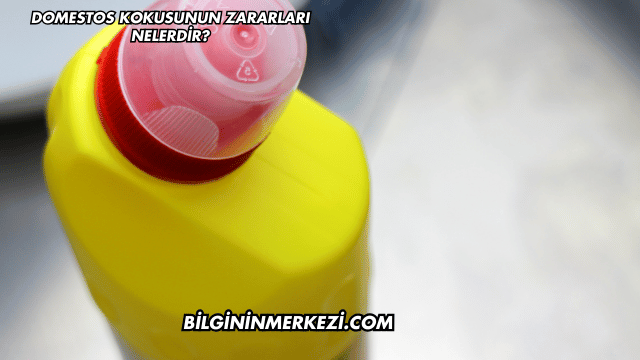Domestos Kokusunun Zararları Nelerdir?