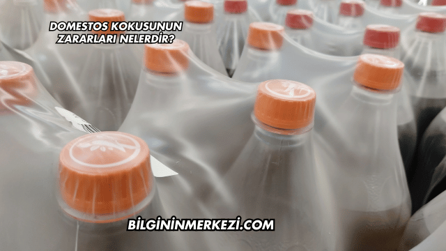 Domestos Kokusunun Zararları Nelerdir?