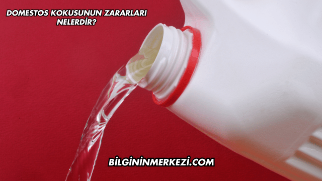 Domestos Kokusunun Zararları Nelerdir?