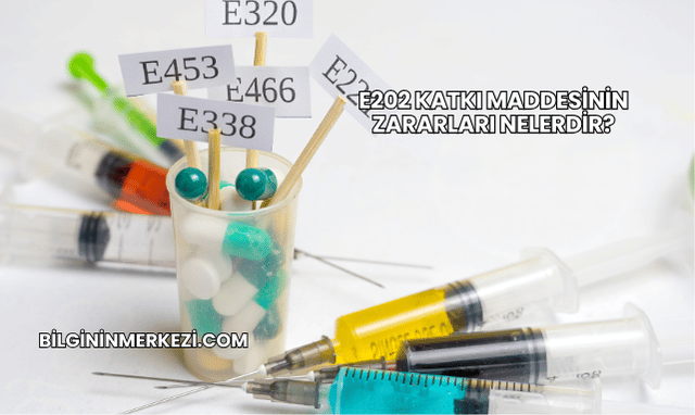 E202 Katkı Maddesinin Zararları Nelerdir?
