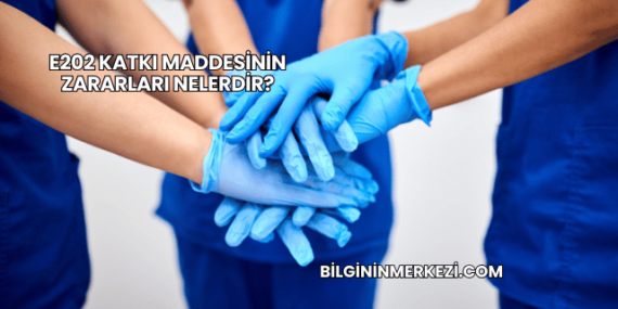 E202 Katkı Maddesinin Zararları Nelerdir?