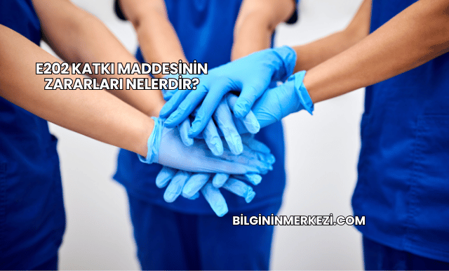 E202 Katkı Maddesinin Zararları Nelerdir?
