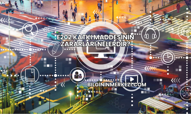 E202 Katkı Maddesinin Zararları Nelerdir?