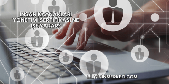 İnsan Kaynakları Yönetimi Sertifikası Ne İşe Yarar?