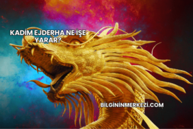 Kadim Ejderha Ne İşe Yarar?
