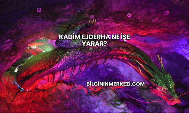 Kadim Ejderha Ne İşe Yarar?