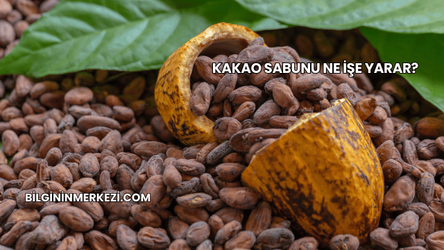 Kakao Sabunu Ne İşe Yarar?