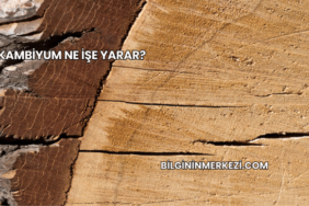 Kambiyum Ne İşe Yarar?