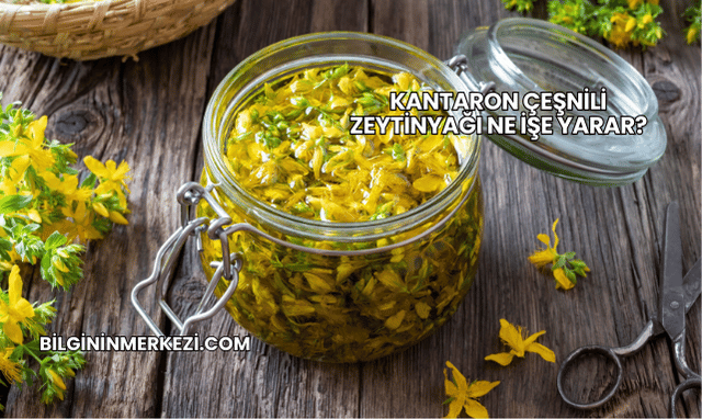 Kantaron Çeşnili Zeytinyağı Ne İşe Yarar?