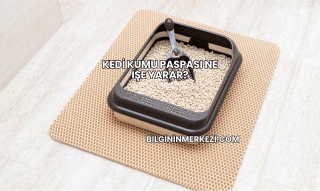 Kedi Kumu Paspası Ne İşe Yarar?