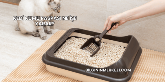Kedi Kumu Paspası Ne İşe Yarar?
