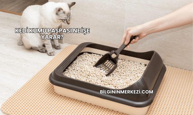 Kedi Kumu Paspası Ne İşe Yarar?