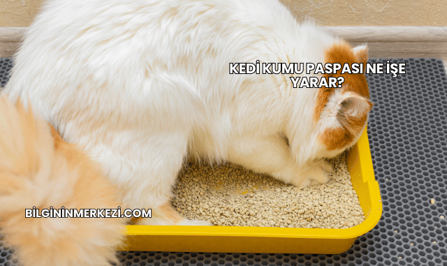Kedi Kumu Paspası Ne İşe Yarar?