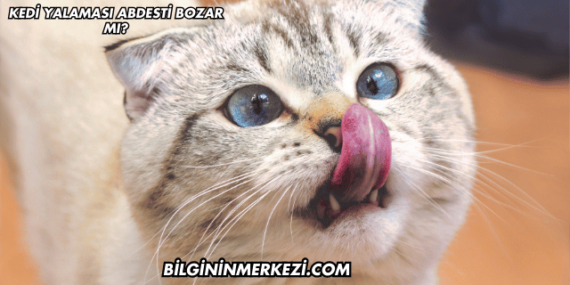 Kedi Yalaması Abdesti Bozar mı?