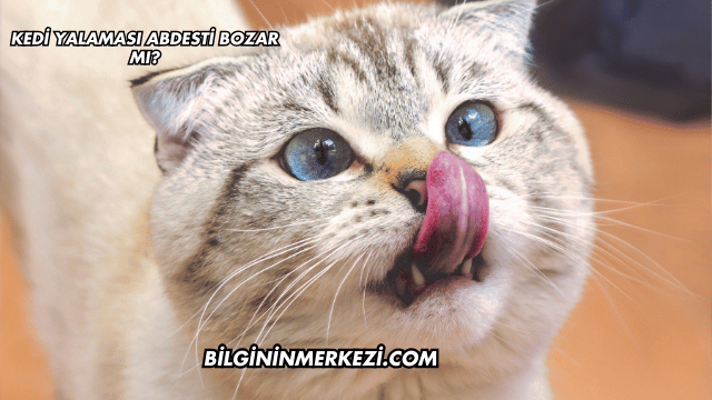 Kedi Yalaması Abdesti Bozar mı?