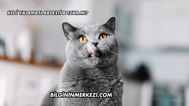 Kedi Yalaması Abdesti Bozar mı?