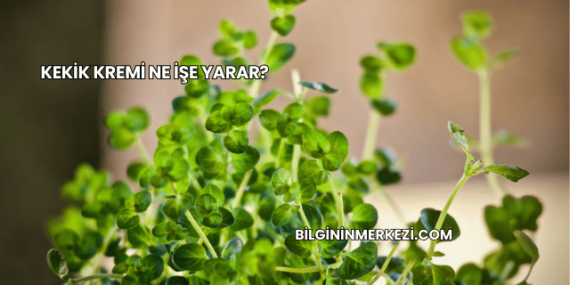 Kekik Kremi Ne İşe Yarar?