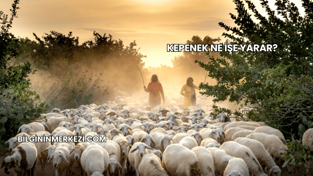 Kepenek Ne İşe Yarar?