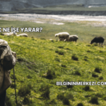 Kepenek Ne İşe Yarar?