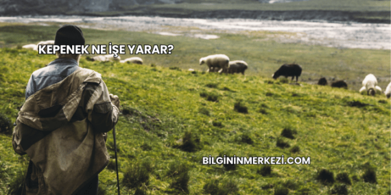 Kepenek Ne İşe Yarar?