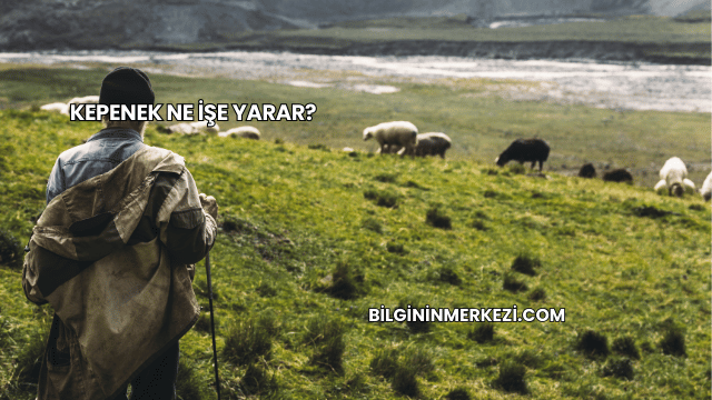 Kepenek Ne İşe Yarar?