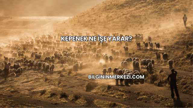 Kepenek Ne İşe Yarar?