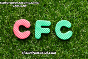 Kloroflorokarbon Gazının Zararları