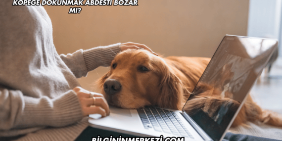 Köpeğe Dokunmak Abdesti Bozar mı?