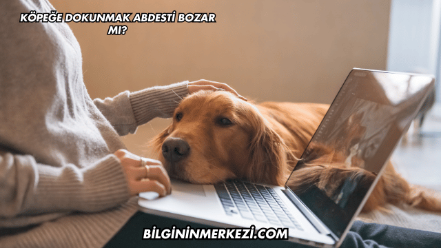 Köpeğe Dokunmak Abdesti Bozar mı?