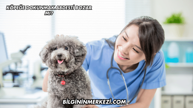 Köpeğe Dokunmak Abdesti Bozar mı?