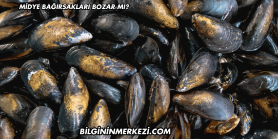Midye Bağırsakları Bozar mı?