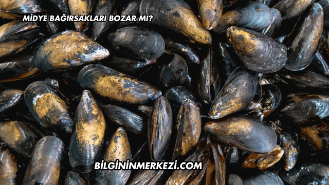 Midye Bağırsakları Bozar mı?