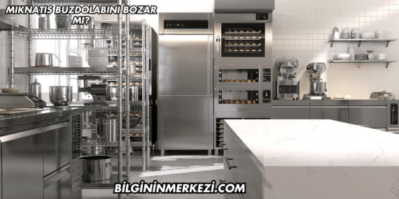Mıknatıs Buzdolabını Bozar mı?
